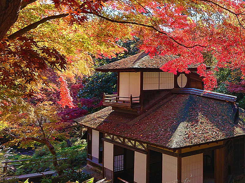 【三渓園】建築史家と古建築の聖地へ！普段は入れない重要文化財で貸切座学付き～紀州徳川家の別荘、中世の三重塔…横浜一の大富豪が集めた建築ワンダーランド～