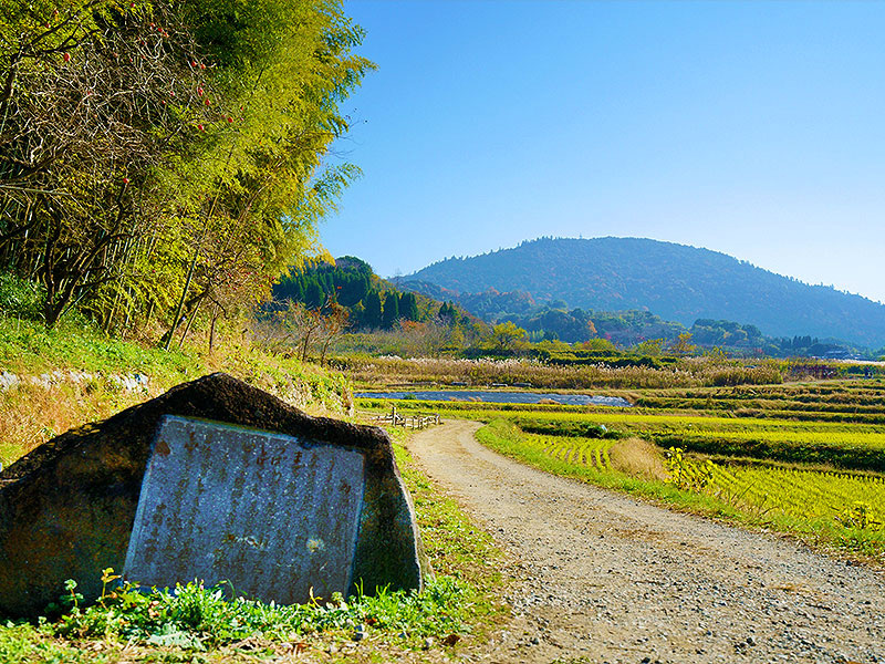 【山の辺の道】政田マリと日本最古の道ハイキング！ヤマト王権の聖地、神仏の道へ～邪馬台国・卑弥呼の墓！？仏教伝来の地、最古の“元伊勢”から纒向遺跡まで～