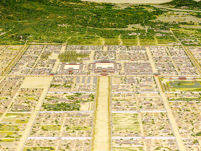 【平安宮】梅林崖長と、都の中枢凸凹ツアー！地理で読み解く源氏物語の世界～帝と桐壷更衣の“遠距離恋愛”！？紫式部の構想を、平安京の中心で解き明かす～