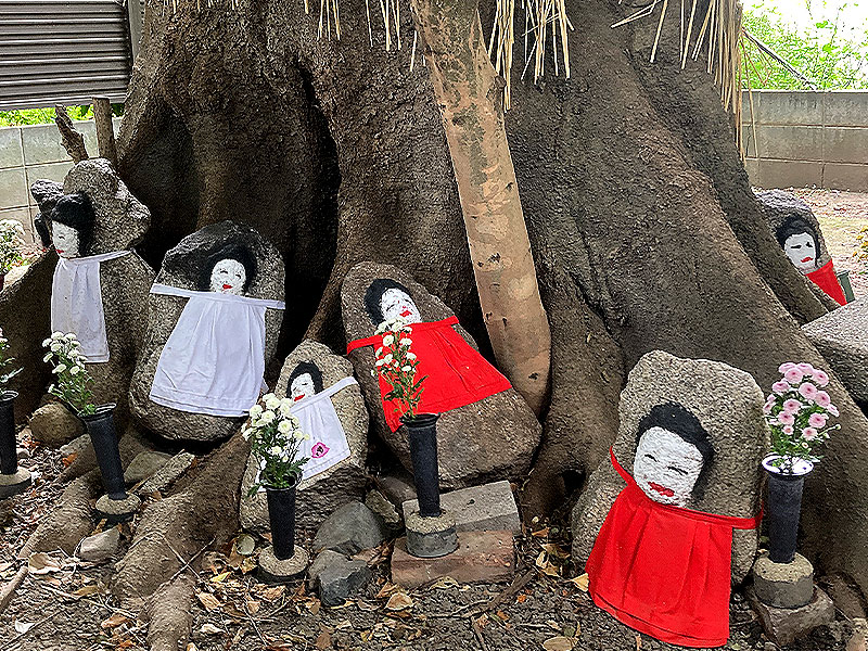 【京都大学】医学部に封印された“祟り地蔵”！？怪談史研究家と魔界都市へ～殺生石の破片、人喰い地蔵、吉田神葬墓地…京大を歩けば地蔵にあたる～