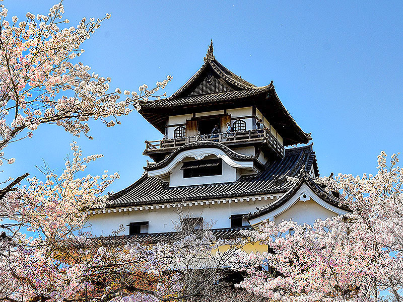 【犬山城】国宝天守「犬山城」徹底攻略ツアー！犬山城研究家と“後堅固”な名城へ～木曽川と断崖絶壁の地形、独特な縄張り、天下人が奪い合った城塞を解き明かせ～