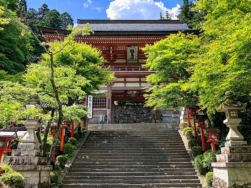 ブラ鞍馬】魔王降臨のカギは“地質”にあり！？地理学研究会といく鞍馬山