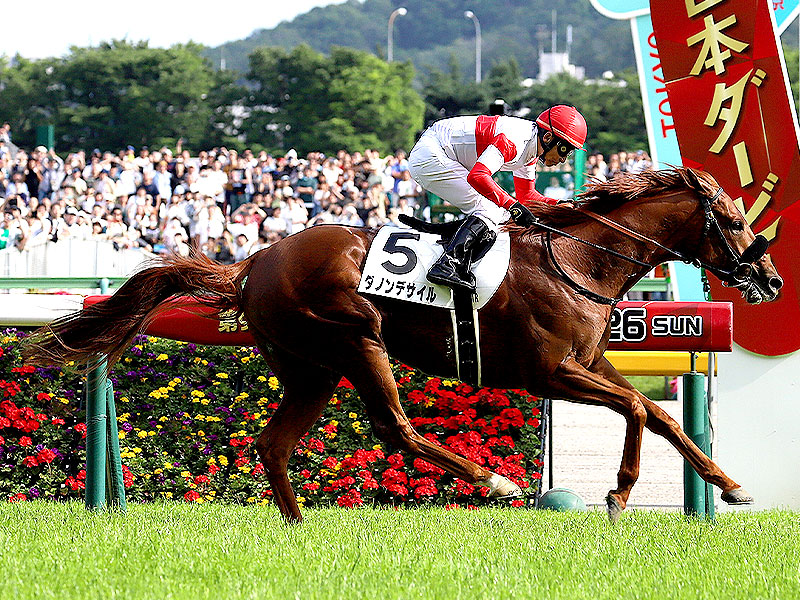 【東京競馬場】初めての東京競馬場ツアー！貸切ゲストルームで特別観戦～手に汗握るレースの駆け引き！熱戦の舞台が目の前に…バックヤード見学付き～
