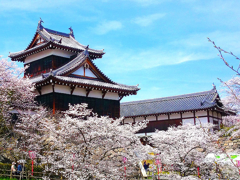 【大和郡山城】豊臣兄弟“百万石の巨城”攻略ツアー！桃山時代を代表する名城へ～石垣に200基のお地蔵さん！？お城編集者・藪内さんと金魚の城下町をいく～