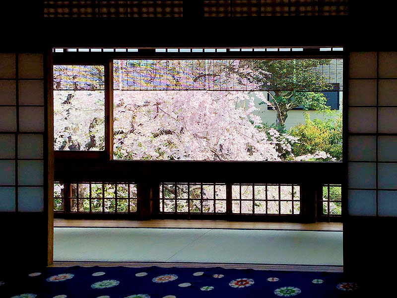 【御所西】おにわさんと桜の非公開庭園へ、モダン京町家2棟を特別貸切～旧迎賓館から望む圧巻しだれ桜、アールデコ応接室、苔の露地庭園まで～
