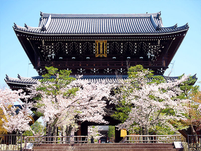 【金戒光明寺】桜の金戒光明寺、非公開エリア貸切拝観！巨大山門・内陣・大方丈へ～運慶の文殊五尊、アフロ仏、襖絵の仕掛け…山門の上に広がる圧巻の浄土～