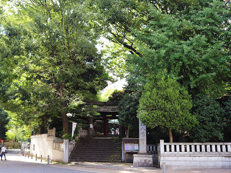【渋谷】森の案内人と大都会の植物ウォッチング！渋谷に潜む大自然を捜せ～森復活を企む巨樹！？スクランブル交差点から江戸三名桜、渋谷鎮守の森まで～