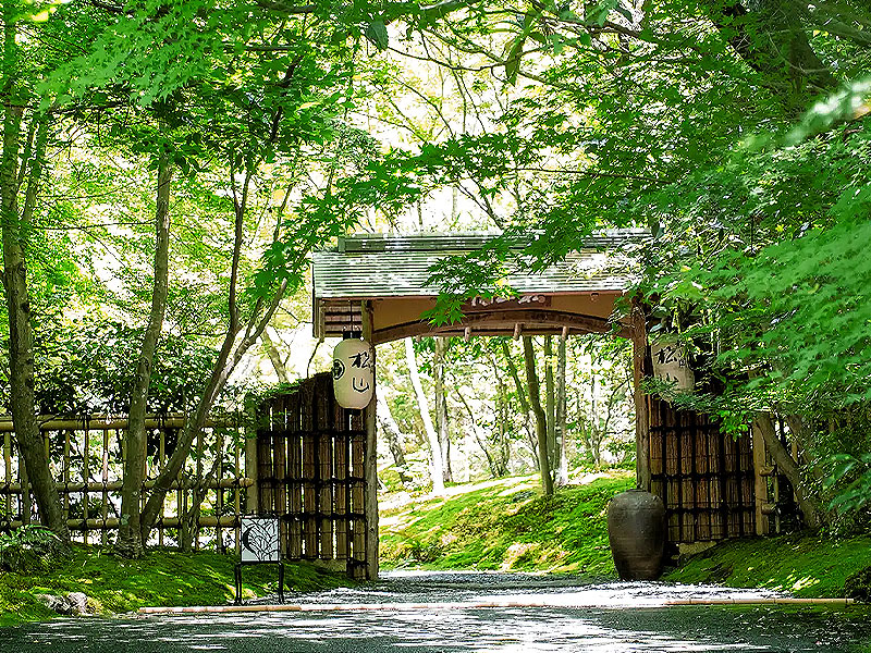 【松山閣】仁和寺の奥山に佇む料亭へ、当主がもてなす絶景のゆば尽くし会～ゆば汲み上げ体験、できたて湯葉と立礼茶会、7万坪の敷地が新緑に染まる～