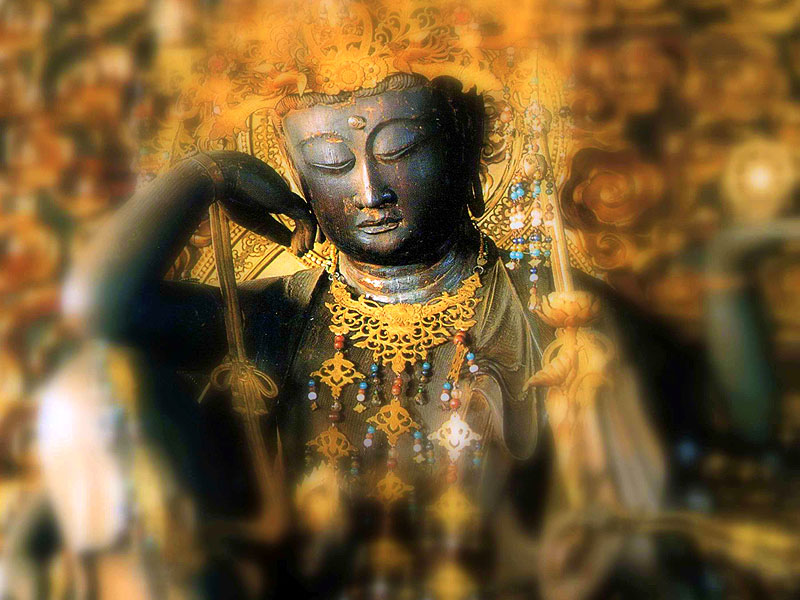 【護国寺】秘仏「如意輪観音」の扉が開く！神仏探偵と8社寺巡礼、平安の本尊ご開帳～2尊の大仏に神セブン、重要文化財・江戸の建築工芸、“雑司ヶ谷マンダラ”社寺詣で～