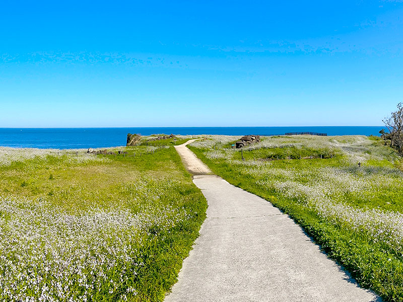 【海の京都】吉村が愛してやまない「海の京都」京丹後ミステリーバスツアー～失われた古代｢丹後王国｣へ！栄華を極めた日本海文化圏の謎を追う～