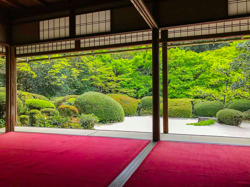 【宮大工】神宮式年遷宮に奉仕した匠・河井さんと、日本大工・究極の美と技の世界へ～望楼をもつ数寄屋の傑作「詩仙堂」、宮廷の風雅を詰め込んだ「曼殊院」まで～