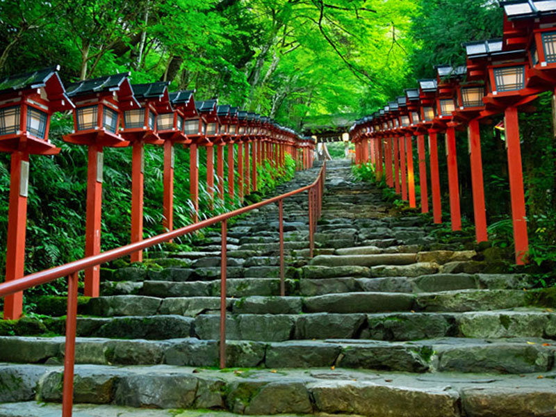 【鞍馬・貴船】森の案内人といく京の奥座敷、天狗跳び龍が棲む神々の森へ～鴨川が生まれる聖地、水神の川で禊ぎ、鞍馬寺から貴船神社まで～