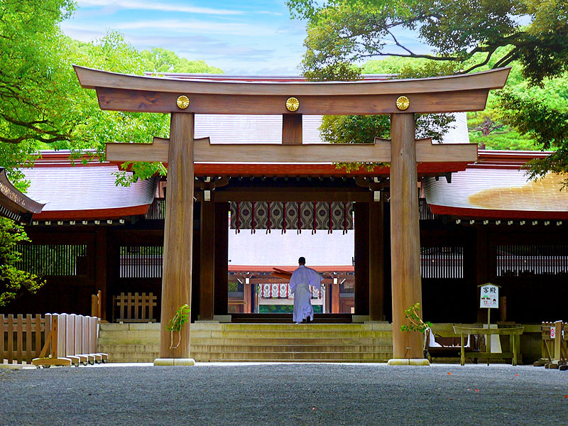 【明治神宮】森の案内人といく明治神宮、永遠の杜をつくる巨大プロジェクト～100年前の夢「永久ニ荘厳神聖ナル林相」はどうなった！？甦る原始の森へ～