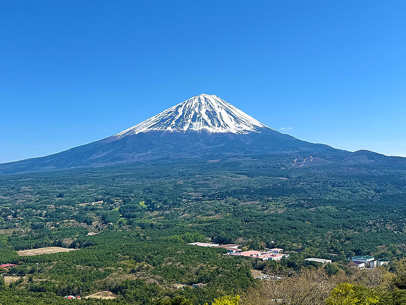 【富士の樹海】日本一の霊峰が生んだ神秘の原始林へ！森の案内人と貸切バスツアー～溶岩の森、氷の洞窟…超巨大噴火が生んだ大自然！世にも奇妙な秘境をいく～