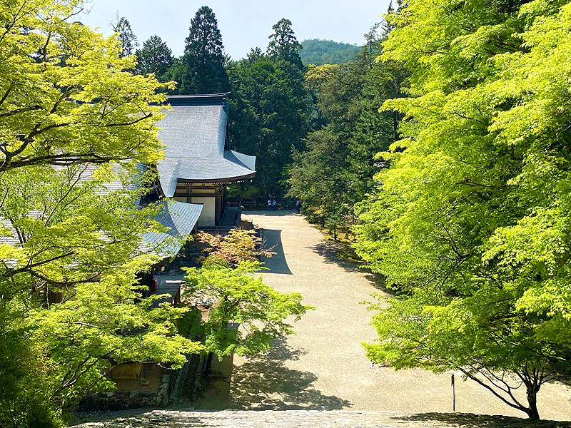 【高雄】森の案内人といく京の清遊地、神護寺・西明寺・高山寺へ～清滝川のせせらぎ、古代巨木の深山幽谷、空海が暮らした真言密教の聖地～