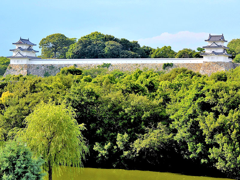 【明石城】坤櫓が特別公開！藪内さんと、三重櫓並び立つ白亜の城塞攻略ツアー～異例の築城！20m高石垣が続く圧巻“石の要塞”へ、宮本武蔵の城下町まで～