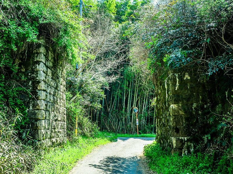 【大仏鉄道】幻の近代化遺産・ラピュタの世界！森に覆われた一世紀前の鉄道遺跡～“貴婦人”と呼ばれた機関車、ついに発見された橋梁跡、国境を越えていざ奈良へ～