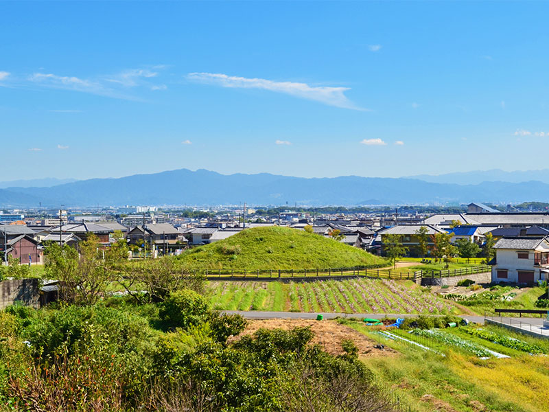 【法隆寺】梅林崖長と世界最古の木造建築へ！国宝だらけの巨大寺院凸凹ツアー～謎に満ちた斑鳩様式の建築＆仏像群、大宝蔵院から夢殿、藤ノ木古墳まで～