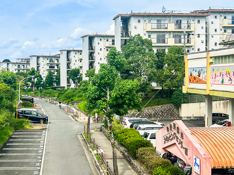 【中登美第3団地】まるで異国、スリバチ団地へ！お部屋拝見スペシャルツアー～団地愛好家が大絶賛！UR都市機構さん全面協力、部屋内部から団地商店街まで～