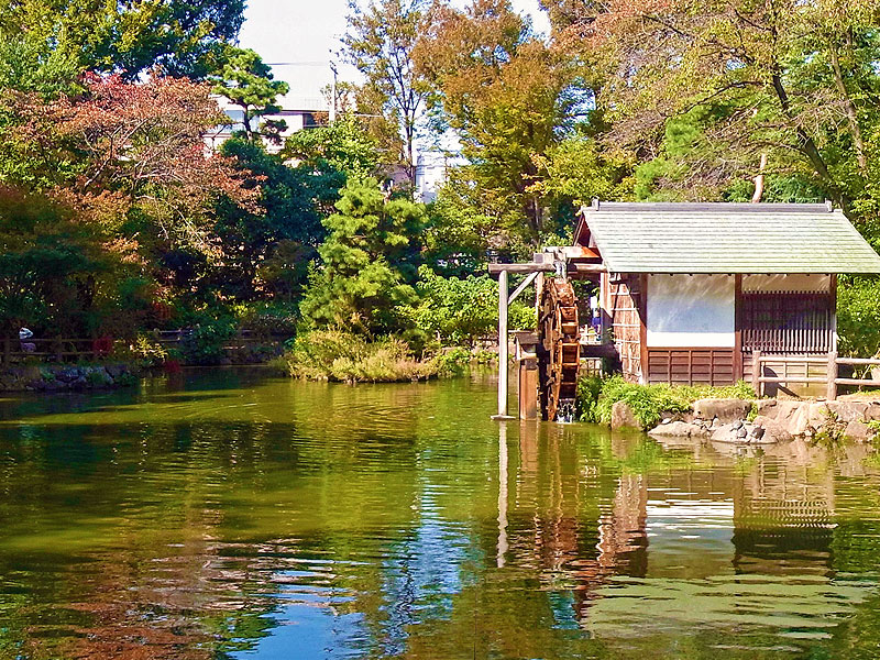 【裏渋谷】“谷底”にできた超立体都市へ！都市史研究家と建築＆凹凸めぐり～中世の古道から世界的建築家の新作まで、渋谷は“裏”がおもしろい～