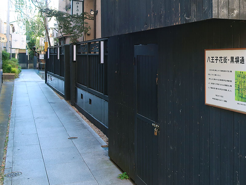 【八王子】独立国家八王子！？スリバチ学会と、桑の都を凹凸で解き明かせ～遊郭の妓楼建築、ノコギリ屋根の通り、「日本のシルクロード」はどうできた～