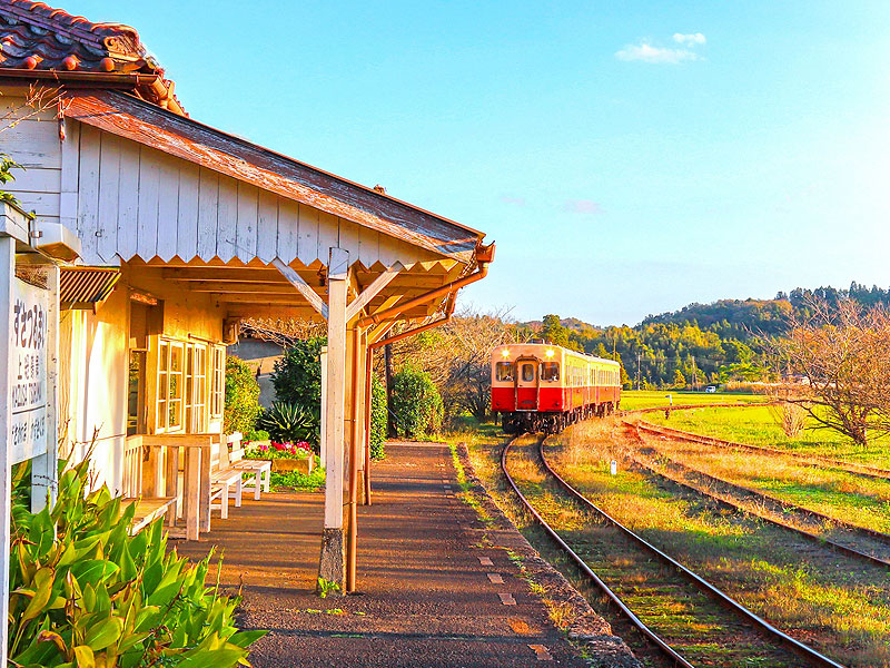 【小湊鉄道】車両まるごと貸切！紅葉の絶景里山トロッコ、ぶらり秘境下車の旅～100年前の文化財駅舎が立ち並ぶ！窓一面に錦秋の大銀杏、名物駅弁に舌つづみ～