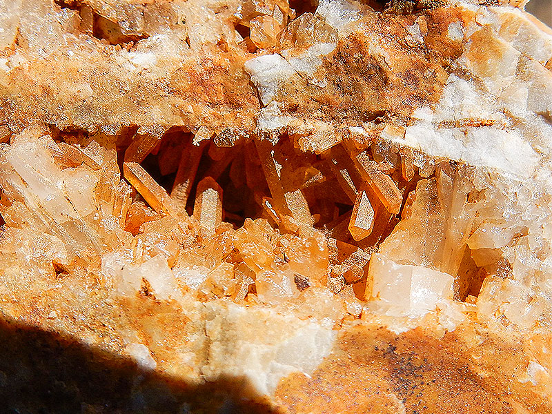 【大堰川】日本は石の標本箱！地学専門家と鉱物探し、京都3億年の旅～水晶、菫青石、レッドチャート…石がわかれば地球がわかる～