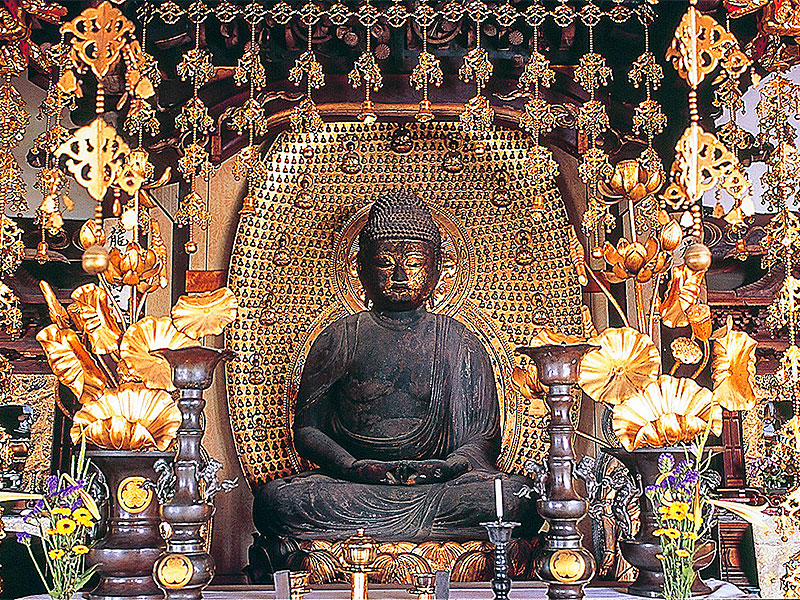 【真如寺＆多賀大社】普段は非公開、平安美仏を特別拝観！政田マリと滋賀県随一の大社へ～ズラリ地獄絵！壮麗な社殿群、寛永の太鼓橋、名物糸切餅…錦秋のお多賀さん詣で～