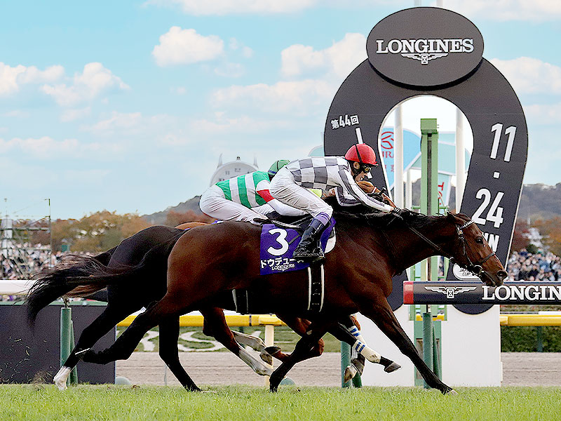 【東京競馬場】初めての東京競馬場ツアー！貸切ゲストルームで特別観戦～手に汗握るレースの駆け引き！熱戦の舞台が目の前に…バックヤード見学付き～