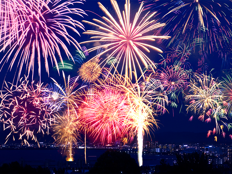 【若松屋】日本一の花火メーカーへ！江戸が生んだ炎の芸術、線香花火を製作実験～線香花火に潜む400年の謎！？花火ずらり一般非公開のショールームまで～