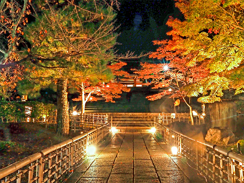【金戒光明寺】非公開エリア＆紅葉ライトアップ特別貸切！巨大山門・内陣・夜の庭園へ～運慶の文殊五尊、アフロ仏、光が包む紫雲の庭…山門の上に広がる圧巻の浄土～