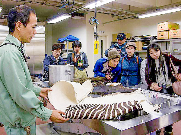 【動物園】獣医さんといく、大人の動物園探検ツアー☆バックヤード見学付き～アジアゾウからニシゴリラ、ジャガー、動物たちの診療室へ～