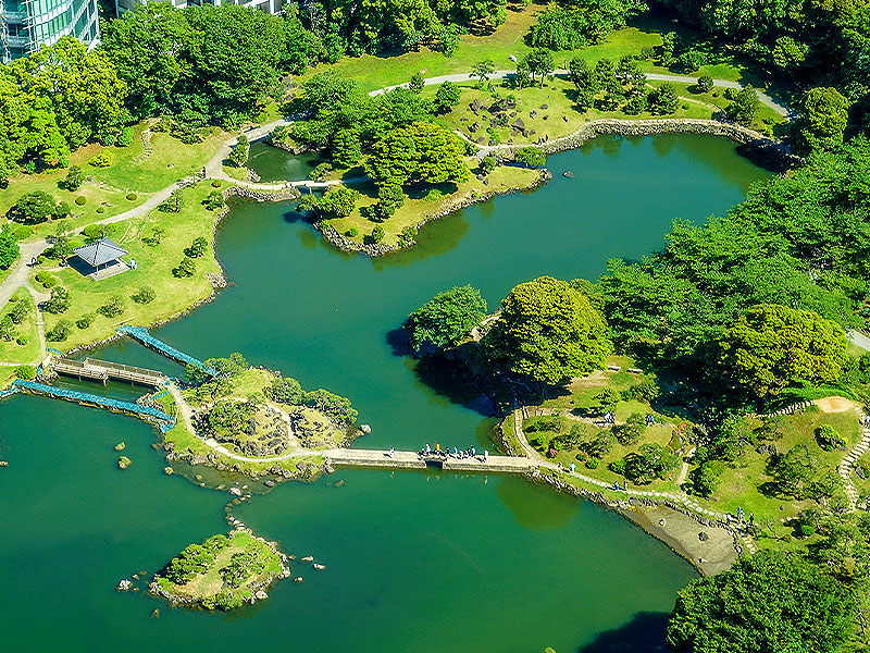 【まいまい大学】一から学ぶ日本庭園、美と思想が凝縮された深淵の世界に迫る～清澄庭園、芝離宮、根津美術館、旧岩崎邸…庭師と極上の名庭を見比べながら～