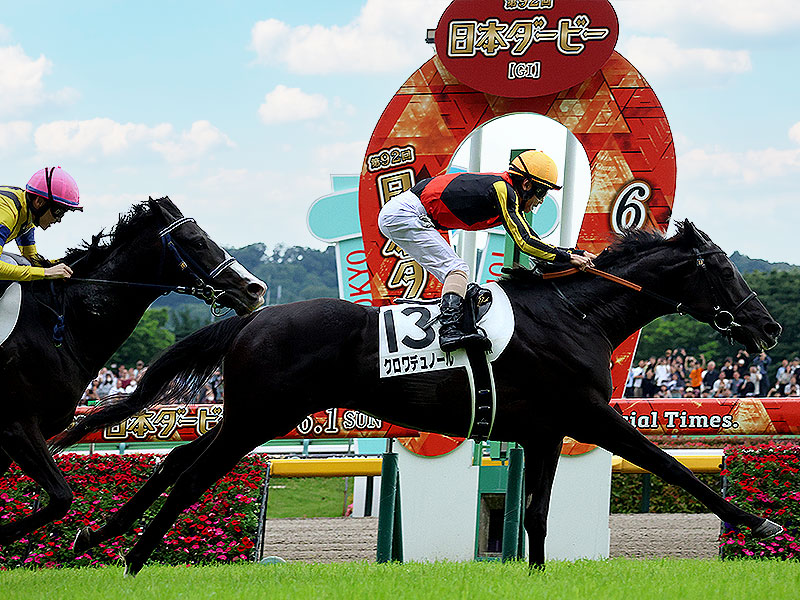 【東京競馬場】初めての東京競馬場ツアー！貸切ゲストルームで特別観戦～手に汗握るレースの駆け引き！熱戦の舞台が目の前に…バックヤード見学付き～