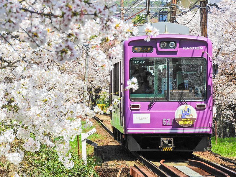 【嵐電】桜の嵐電ぶらり途中下車の旅、京都唯一の路面電車に乗って～レトロな駅舎、あゝ懐かしの踏切、桜のトンネルをいく～