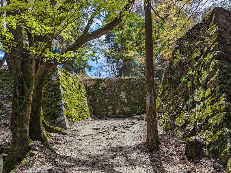 【高取城】藪内さんと“日本最強の城”攻略ツアー！日本一の山城とその城下町へ～奇跡の山上総石垣！海鼠壁続く家老屋敷、大和一望の櫓跡まで～