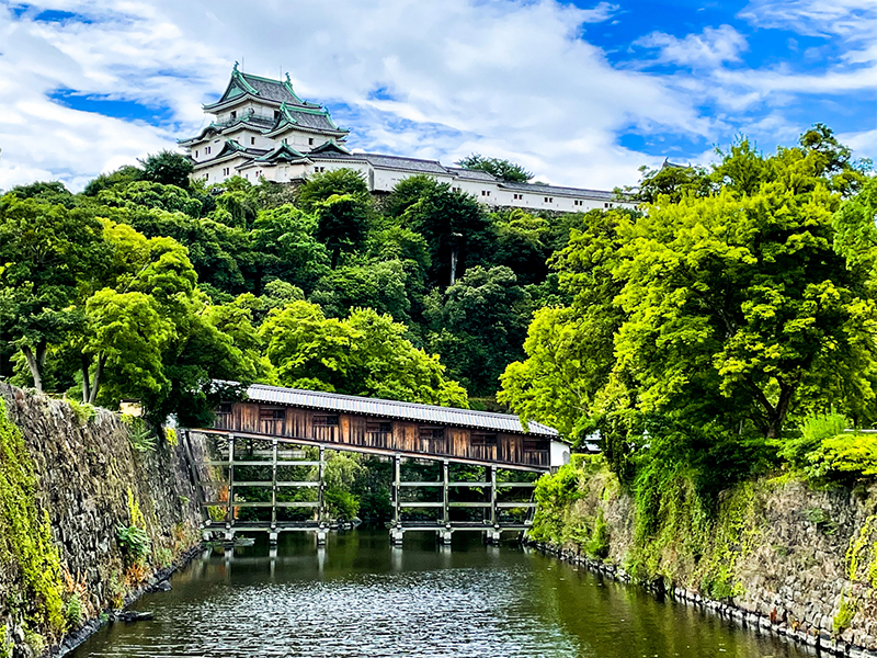 【和歌山城】梅林崖長と和歌山城凸凹ツアー！徳川御三家の巨城＆城下町を徹底攻略～豊臣家が築いた青石の石垣、日本三大連立式天守、城郭に作られた屈指の名園～