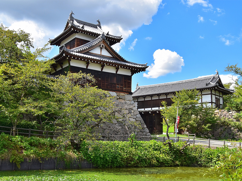 【大和郡山城】梅林崖長と百万石・豊臣秀長の巨城へ！大和最大の城下町を徹底攻略～“天下一の補佐役”秀長の高石垣、奇跡の惣構と広大な金魚畑、遊郭建築を拝見～