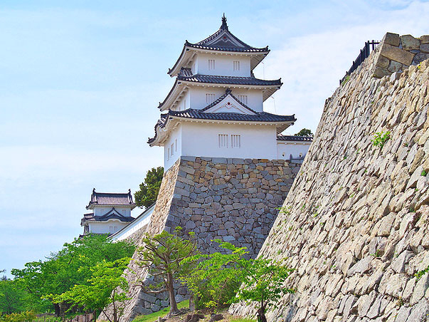 【明石城】巽櫓が特別公開！藪内さんと、三重櫓並び立つ白亜の城塞攻略ツアー～異例の築城！20m高石垣が続く圧巻“石の要塞”へ、宮本武蔵の城下町まで～