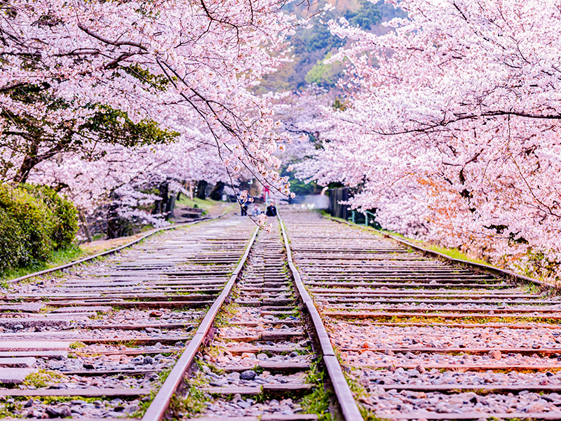 【琵琶湖疏水】5つの全国宝を制覇せよ！大津閘門から蹴上船溜まで「疏水」堪能ツアー～今も現役、明治の巨大プロジェクト！琵琶湖と京都を結ぶ、近代化遺産群を追う～