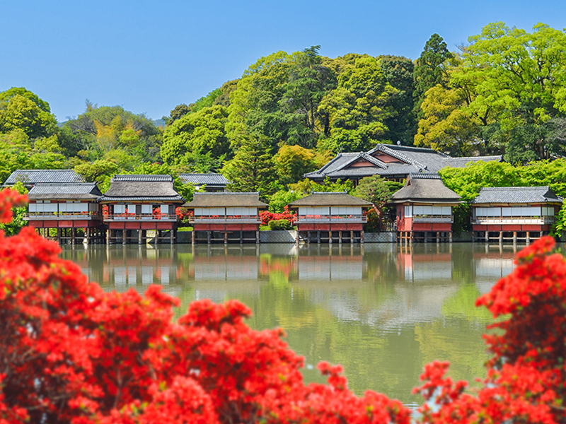 【錦水亭】京数寄屋の究極形へ！開店前に特別案内＆最高級“春の食宝”白子筍懐石を堪能～迫り来る圧巻の霧島ツツジ、水上庭園と幻想の池座敷、近代和風建築の代表作～