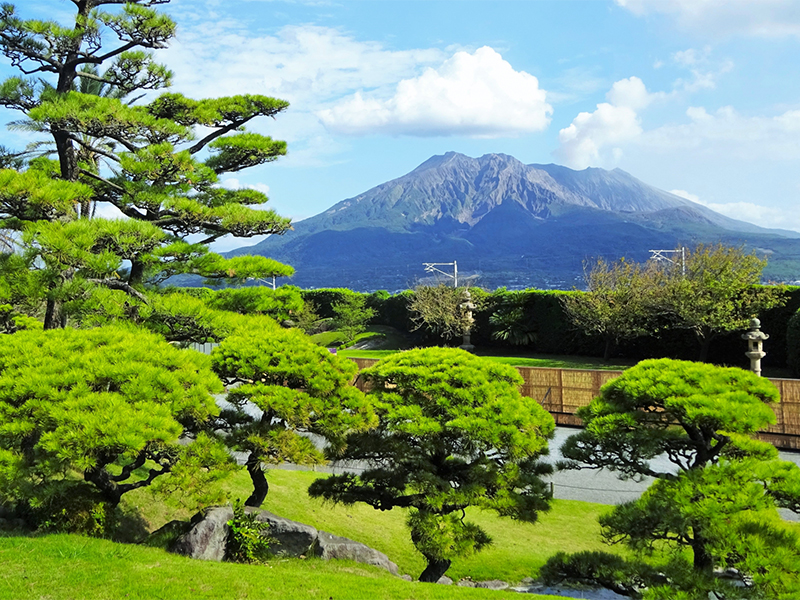 霧島】火山を染めるミヤマキリシマ大群落！森の案内人と日本神話の聖地