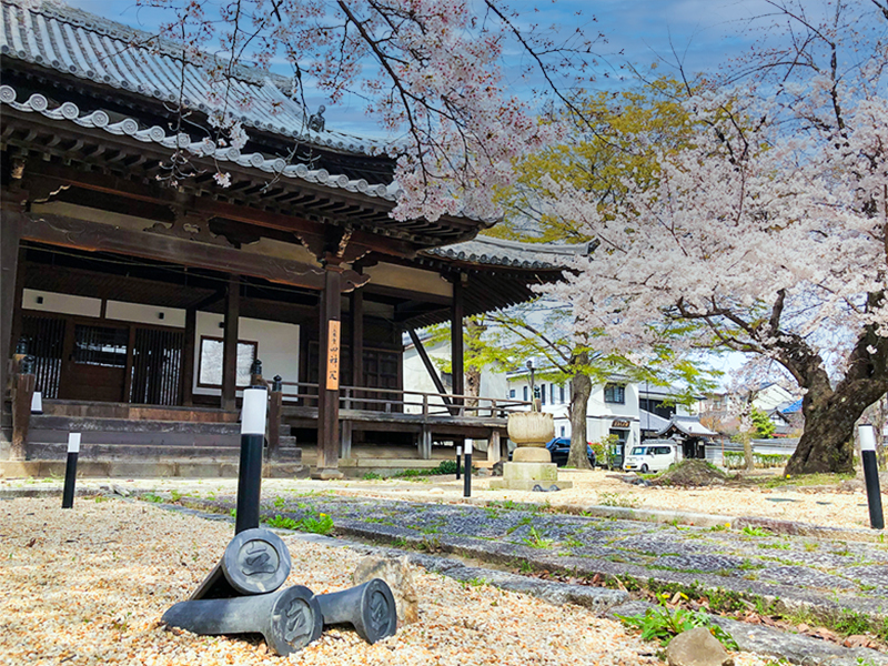 光清寺】おにわさんと非公開庭園へ、重森三玲2つの名庭＆桜花爛漫の