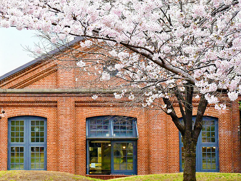 【王子】都市史研究者と“軍都”王子へ！帝都の一大軍事拠点、桜舞う旧弾丸工場を拝見～今も残る火薬庫、弾道検査管、旧米陸軍司令部…建築と地形で解き明かす～