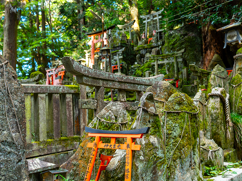 【サロン限定】梅林崖長と伏見稲荷大社凸凹ツアー！地形＆建築で聖地を解き明かせ～摩訶不思議な創建説話！？日本最大級の五間社流造、“枕草子”でフィールドワーク～
