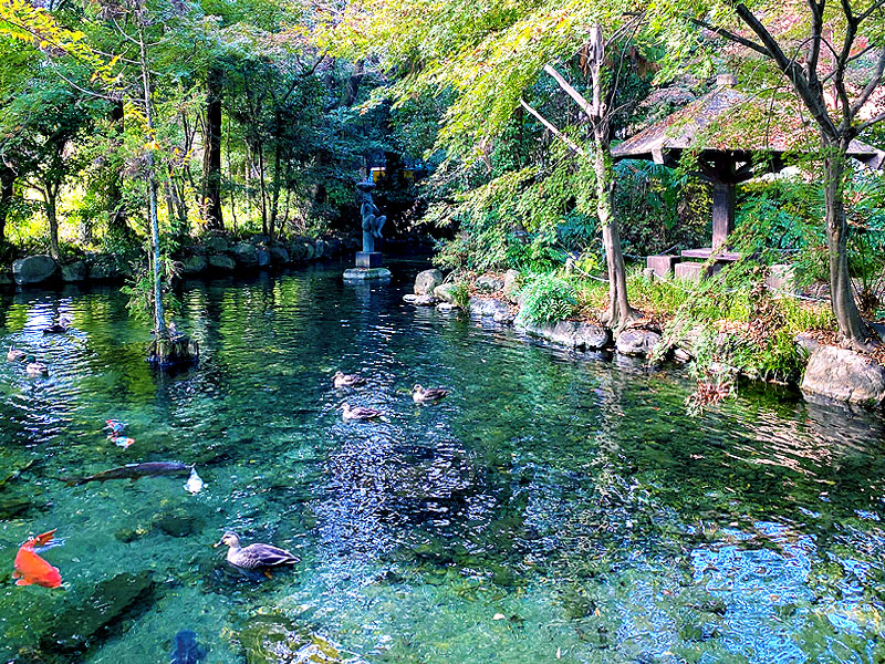 【あきる野】最強聖地「縄文神社」巡礼！“東京で最も美しい場所”、縄文遺跡密集地帯へ～宝石箱のような“御池”、シャクジン・アラハバキ…縄文の神々、太古の出土品を拝見～
