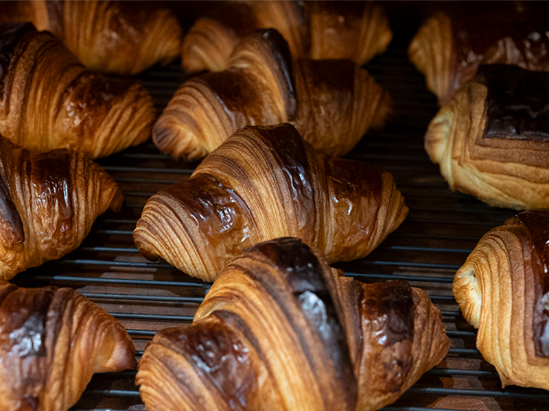【パン】京都・春のパンまつり！パンライターと上桂4軒のパン屋さんへ～グランプリ金賞カレーパンから豚トロパンまで、店主に聞く京都とパン屋の物語～