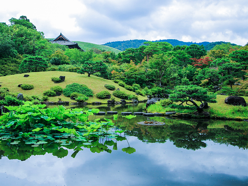 【奈良依水園】庭師といく至高の名庭、世界遺産を借景に取り込む圧巻のスケール～興福寺から春日大社、シカが遊ぶ巨樹の森、神話の舞台・飛火野まで～