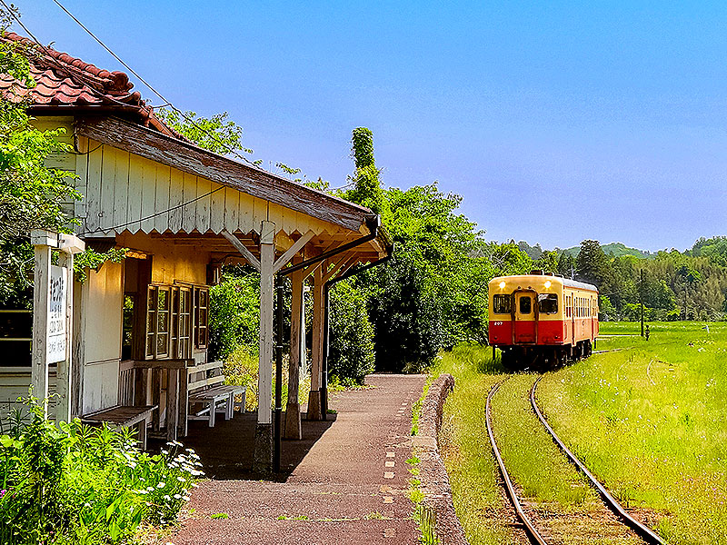 【小湊鉄道】車両まるごと貸切！紫陽花の絶景里山トロッコ、ぶらり秘境下車の旅～100年前の文化財駅舎が立ち並ぶ！窓一面に“緑のトンネル”、名物駅弁に舌つづみ～