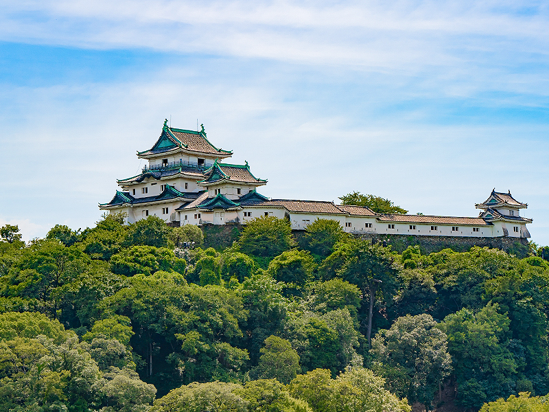 【和歌山城】徳川御三家の巨城＆城下町へ！松浦さんと「和歌山城」徹底攻略ツアー～豊臣家が築いた青石の石垣、日本三大連立式天守、城郭に作られた屈指の名園～
